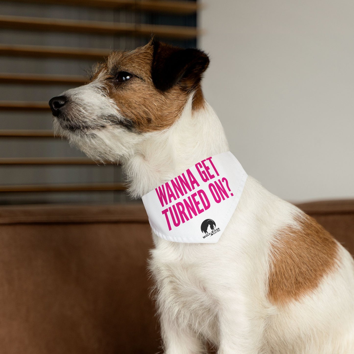 Pet Bandana Collar